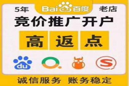 竞价端口开户全攻略，案例分析